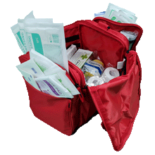 Load image into Gallery viewer, Sports Team First Aid Kit Premium Large Red Bag