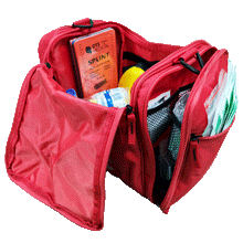 Load image into Gallery viewer, Sports Team First Aid Kit Premium Large Red Bag