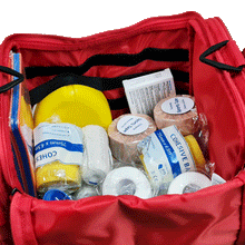 Load image into Gallery viewer, Sports Team First Aid Kit Premium Large Red Bag