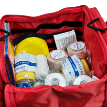 Load image into Gallery viewer, Sports Team - Premium Large FIRST AID KIT
