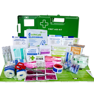 Farming Medium First Aid Kit Green plastic Wall Mount